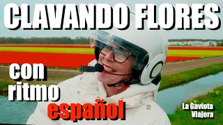 La Gaviota Viajera #214: CLAVANDO FLORES CON RITMO ESPAÑOL EN HOLANDA (4K)