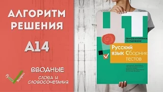 Видеоразбор ЦТ по Русскому [A14 | 2015]