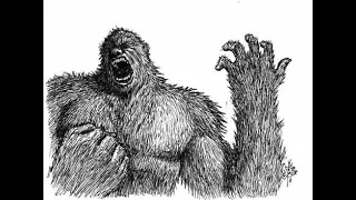 10 Bigfoot Encounters Northern  California