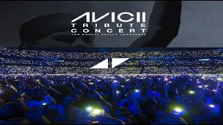 Avicii | Tribute Concert In Loving Memory Of Tim Bergling [Descarga/Download]