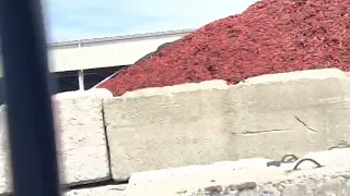 reciclaje de la .basura .Westbury Long Island Nueva York ..año 2022