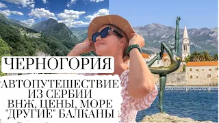 ИЗ СЕРБИИ В ЧЕРНОГОРИЮ || ВНЖ || ЦЕНЫ || ДОРОГА || МЕСТНЫЕ ЖИТЕЛИ || MONTENEGRO || SERBIA