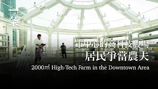 【EngSub】2000㎡ High-Tech Farm in the Downtown Area 市中心的2000㎡高科技農場：居民爭當農夫，蔬果自由