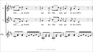 Gruber | Stille Nacht [Silent Night; best original version; Vienna Boys' Choir]