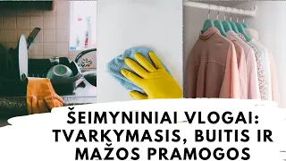 Šeimyniniai vlogai: tvarkymasis, buitis ir mažos pramogos