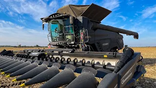 BLACK MONSTRUM [ Fendt IDEAL 10T & Geringhoff 16 rows Mais Star Horizon ] Corn harvest