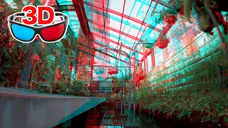 [3D video] Let's explore the botanical gardens! / for red-cyan anaglyph glasses