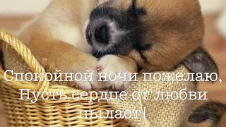 Спокойной ночи ! Сладких снов ! Красивое пожелание на ночь . Видео-открытка .