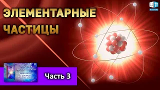 Об элементарных частицах l Часть 3 | ИСКОННАЯ ФИЗИКА АЛЛАТРА