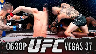 ОБЗОР UFC FN: Энтони Смит - Раян Спэнн | Арман Царукян, Ион Куцелаба, Хоакин Бакли, Антонио Арройо