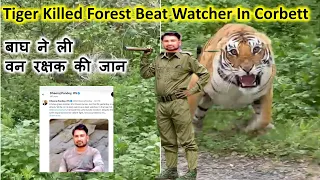 Corbett में बाघ ने ली वन रक्षक की जान | Tiger Killed Forest Beat Watcher Pawan Kumar In Corbett