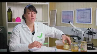 Лабораторные исследования образцов меда