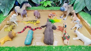 Muddy Expedition with Safari Animals and Insects for Toddlers' Fun Learning Activities