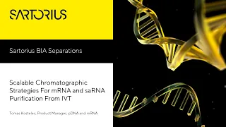 Scalable chromatographic strategies for mRNA and saRNA purification from IVT