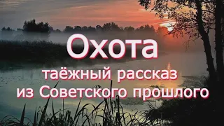 Аудиокнига Ю.К.Насыбуллин "Охота" таёжный рассказ из Советского прошлого. Читает Марина Багинская