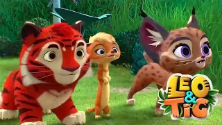 Leo y Tig 🐯🦁 | El Ciervo Rojo - Episodio 6 | Super Toons TV Dibujos Animados en Español