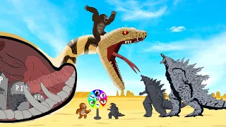 Rescue All Family GODZILLA EARTH & KONG In The Belly Of GIANT PYTHON - FUNNY CARTOON