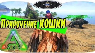 Приручение КОШКИ |  ARK Survival Evolved # 65