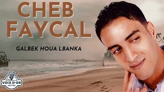 Cheb Faycal - Galbek houa lbanka