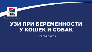 Вебинар на тему: “УЗИ при беременности у кошек и собак”. Лектор - Наталья Зуева.