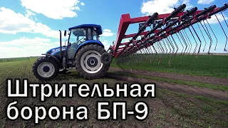 Штригельная борона БП-9 Октавия по всходам гороха.