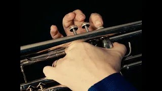 Eine Kleine Nachtmusik (1st Movement Theme) by Mozart on solo trumpet