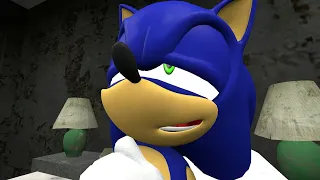 Sonic's Chill Dog Farts