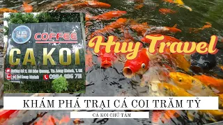 VLOG THAM QUAN TRẠI CÁ COI TRĂM TỶ - CÁ KOI CHÚ TÁM | Huy Travel