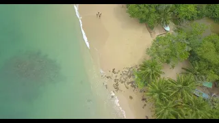 Free 4k Stock footage - Pan down arial view of a beach