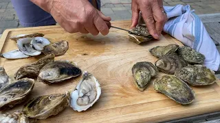 Shucking Wild Oysters with Merritt