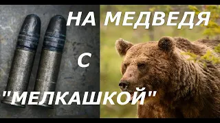 На медведя с "Мелкашкой" - самоубийство или реальность?