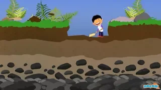 Soil Profile of Earth - Soil Layers and Horizons - Geography for Kids | Educational Videos by Mocomi