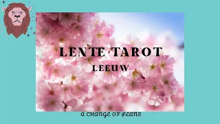 lente TAROT LEEUW - a change of plans