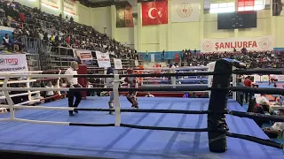 Türkiye Kickboks şampiyonası Şanlıurfa ilayda erdem Low Kick maçı