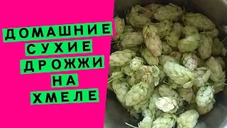 Дрожжи на хмеле для хлеба: домашние, сухие, своими руками (пошаговый рецепт)