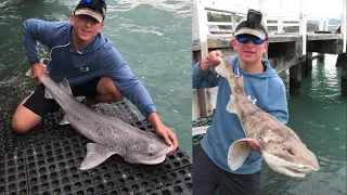 Shark Fishing In Christchurch | Seven Gill Shark