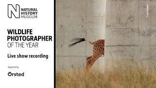 Behind the Lens: Live from the Wildlife Photographer of the Year Exhibition | Natural History Museum