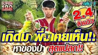 [ENG SUB] เกิดมาเพิ่งเคยเห็น!! คิว หาของป่า สุดแปลก!! | SUPER100