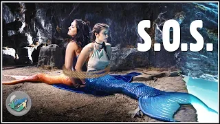 Life as a Mermaid ▷ Season 4 | Episode 1 - "S.O.S."