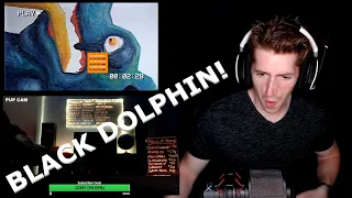 Chris REACTS to Secret Band - Black Dolphin