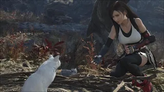 Tifa and Cloud Save Fluffy & Her Kittens