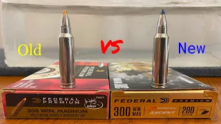 Terminal Ascent vs. Trophy bonded Tip in 300 win. mag.