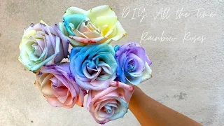 D.I.Y All the Time! Rainbow Roses