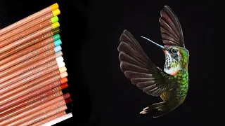 How to Draw a Hummingbird with Colored Pencils on Black Paper