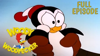 Endangered Chilly | 2 Full Episodes | Woody Woodpecker