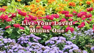 Live your loved minus one - The Builders