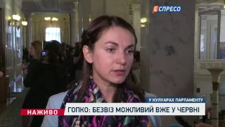 Гопко: Безвіз можливий вже у червні