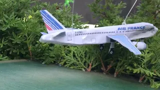 Air France 296 crash recreation