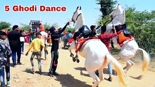 स्पेशल 5घोड़ी डांस 2023- Special Ghodi Dance 2023 !! Perfume Lagave Chunni Main !! HORSE PERFORMANCE