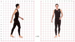 Athletic Male Standard Walk. Animation Reference Body Mechanics